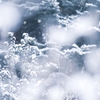 ❄︎.*  蒼雪の世界 ❄︎.*