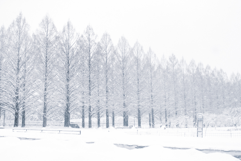 winter wonderland…❄️.*˚