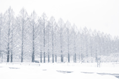 winter wonderland…❄️.*˚