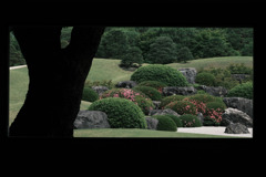 薫風の候…☘