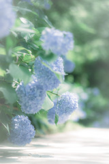 shine brightly…ꕤ୭*