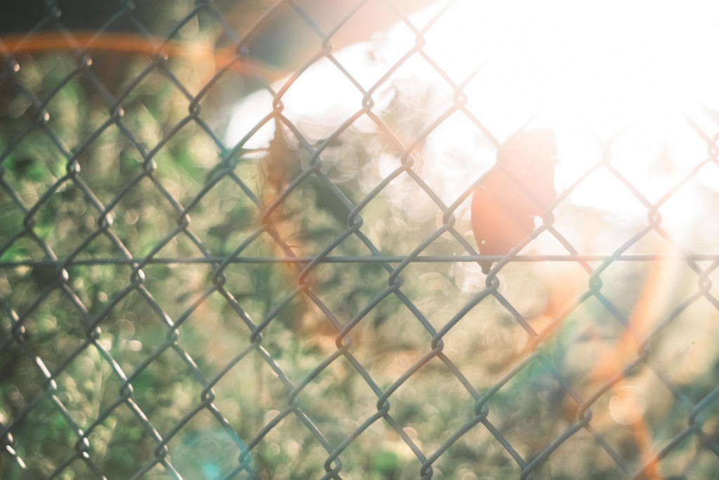 fallen leaves…*ﾟ