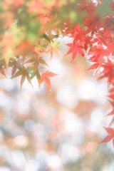 美しき変化…*ﾟ