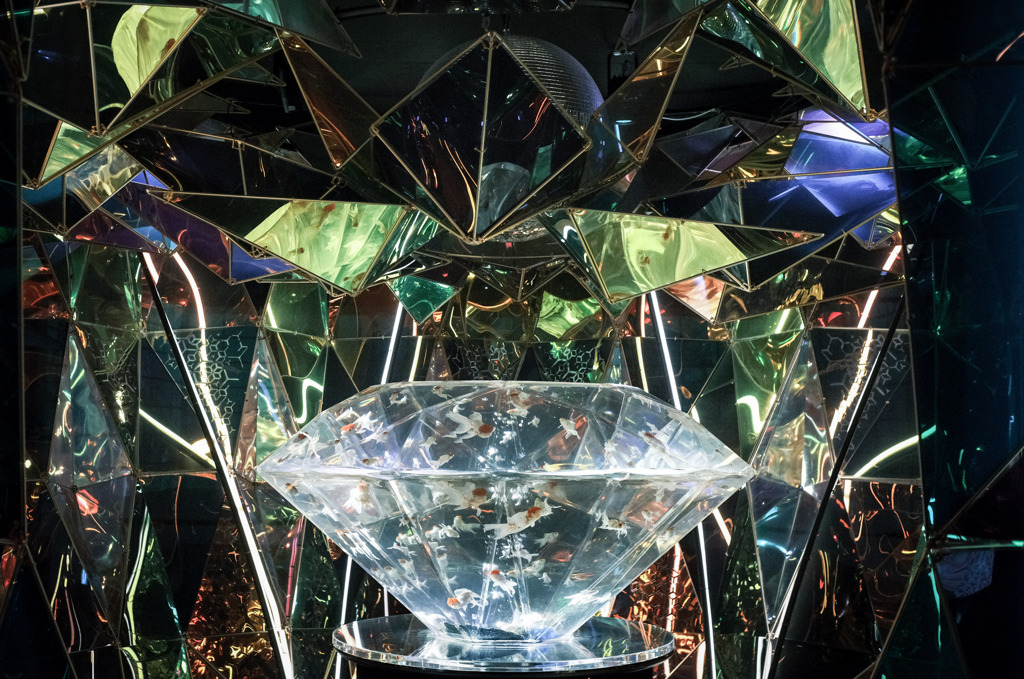 diamondのaquarium☆彡.。
