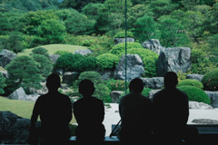 薫風の候…☘