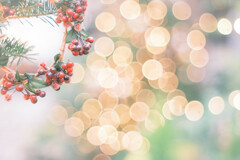 red berry wreath*ﾟ