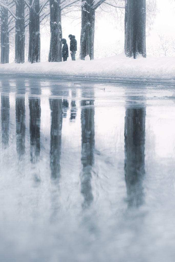 ❅*°  雪のメタセコイア並木… stand still…  ❅*°