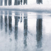 ❅*°  雪のメタセコイア並木… stand still…  ❅*°