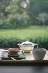 新茶の香 ☘ *°