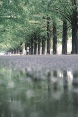 秋雨の中を駆け抜けろ☆彡.。