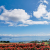 ✿ 琵琶湖のみえる丘と…青空 ‪✿