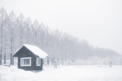 雪の中の小さなおうち*↟⍋*↟