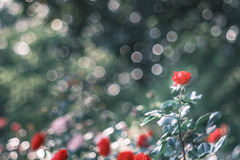 そうび…‎✿ڿڰۣ—