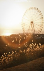 morning light…*ﾟ