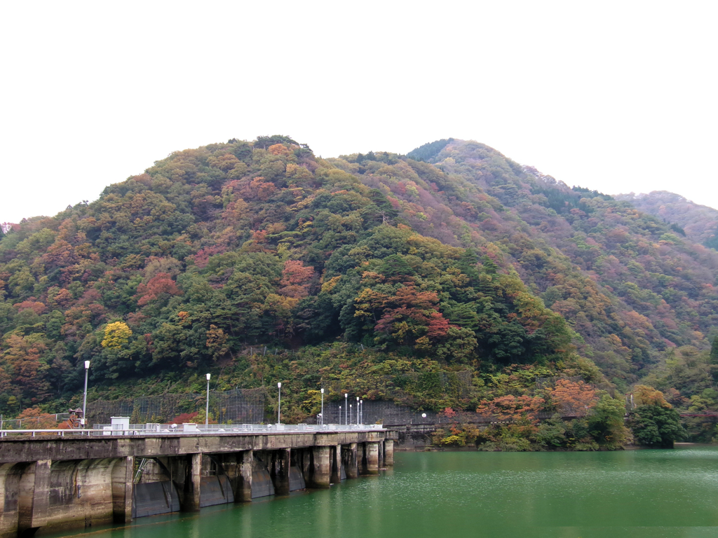 紅葉ドライブ（イチコロ線）国道156号
