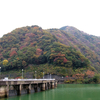 紅葉ドライブ（イチコロ線）国道156号
