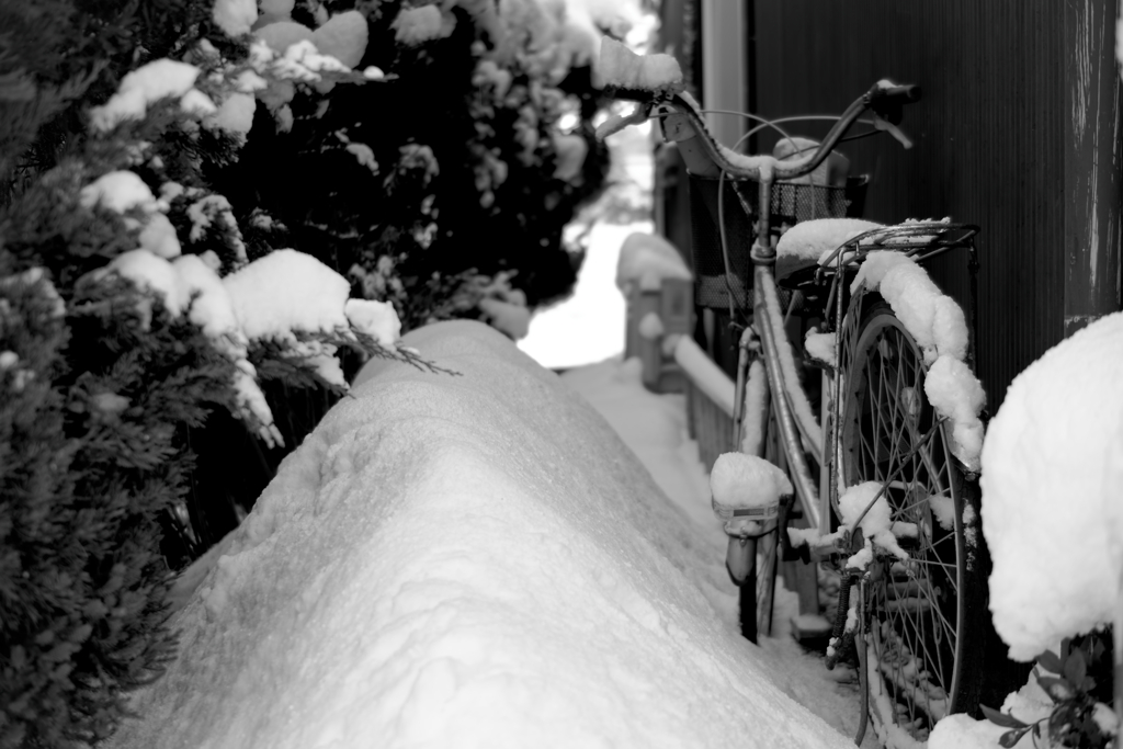 乗れない自転車