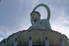 高岡大仏を仰ぎ見る