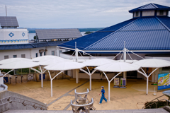平日水族館