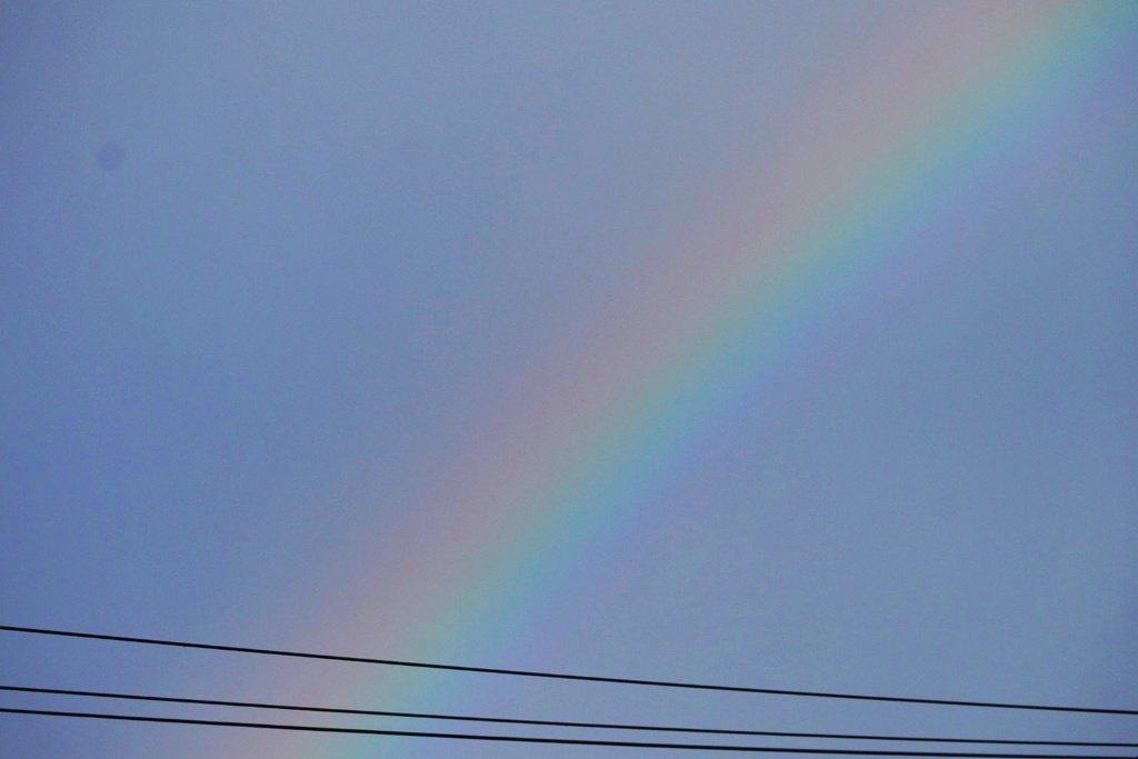 雨上がりのキラキラ