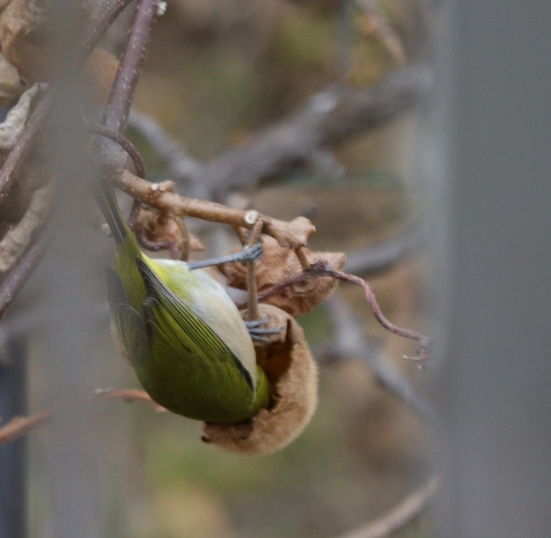 顔、突っ込み過ぎ。