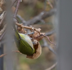 顔、突っ込み過ぎ。