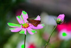 20230920172013_IMG_5446~2