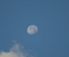 今朝のお月様　1