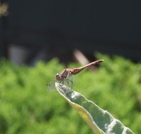 秋の予感