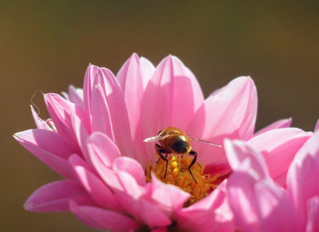 後ろから、失礼しまーす。
