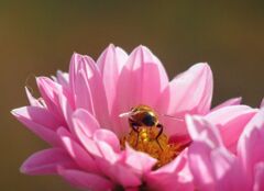 後ろから、失礼しまーす。