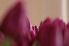 隠れないで…。