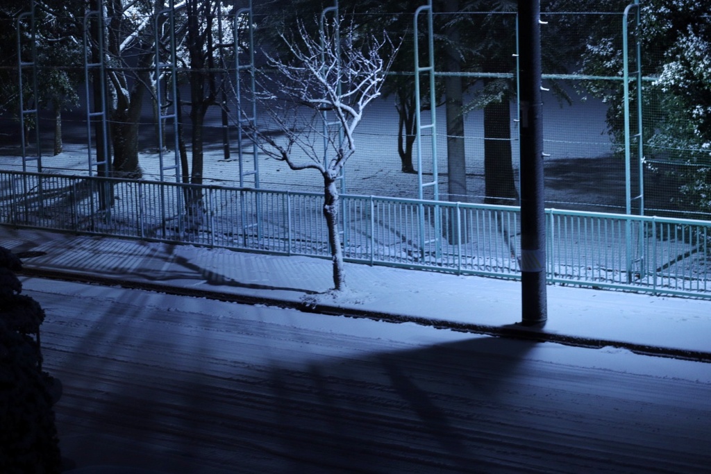 雪の朝