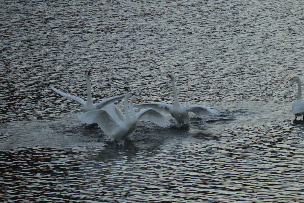 今年最後の練習