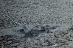 今年最後の練習