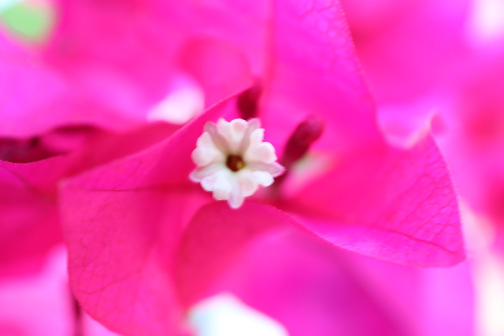 今日の写真26〜1