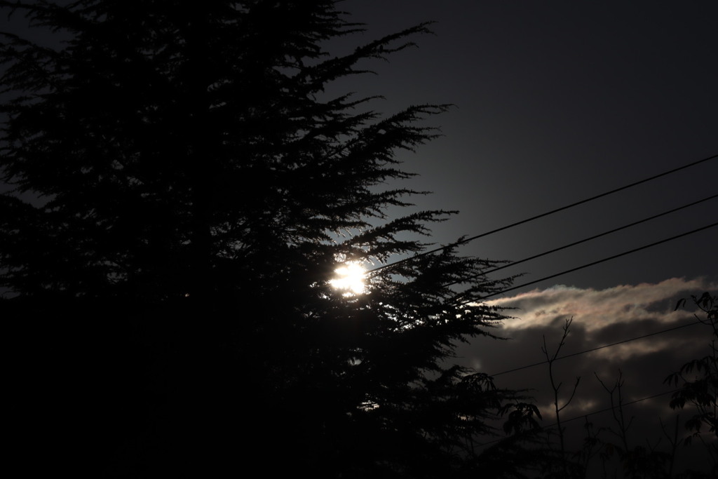 今朝の朝日です。