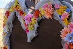 私達にも、春が…