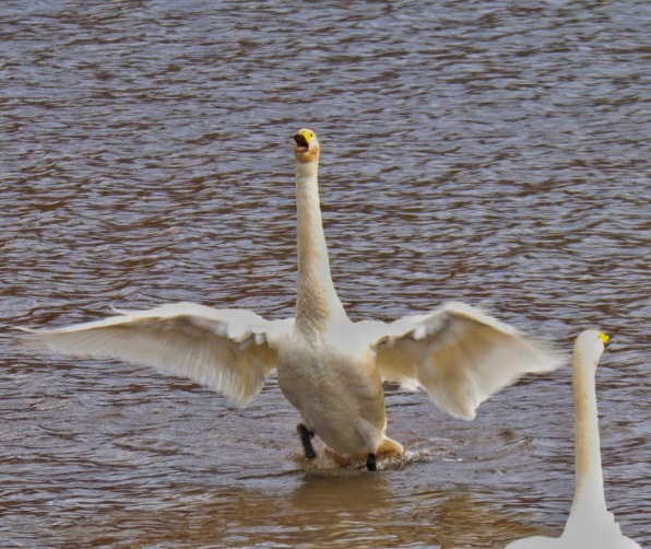 はい、口を開けて。