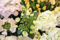 これからですよ。