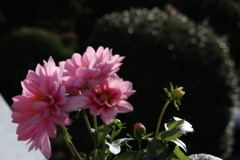 お早うございます。