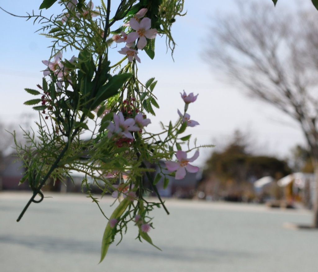 上から失礼します。