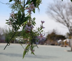 上から失礼します。