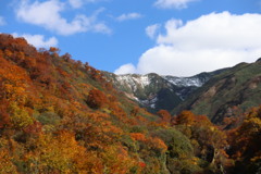 「秋空」に応募　　晩秋