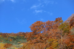 紅葉狩り
