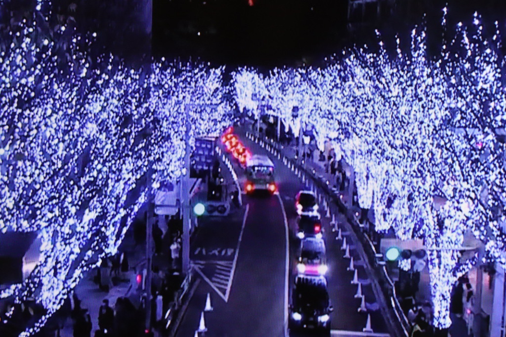 ライトアップの道