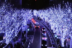 ライトアップの道