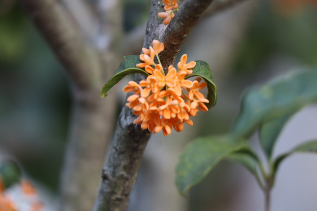 今日の写真　　19〜1