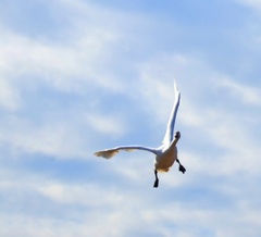 ここにしようか？