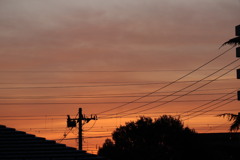19日     今朝の空